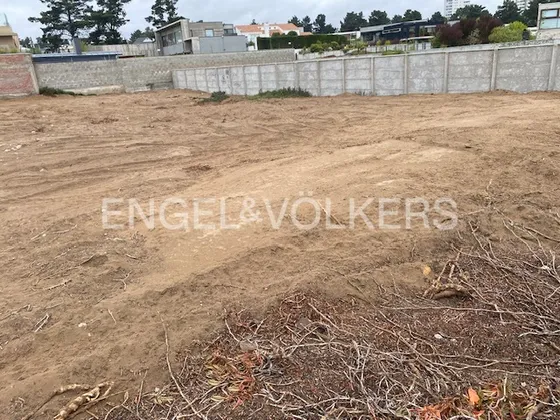 Estupendo Sitio En Pinares