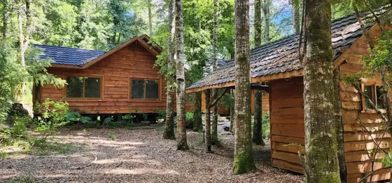 Venta De Terreno/parcela En Panguipulli Id 55.465-ind
