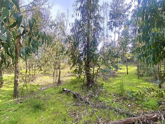 Sitio En Condominio El Claro