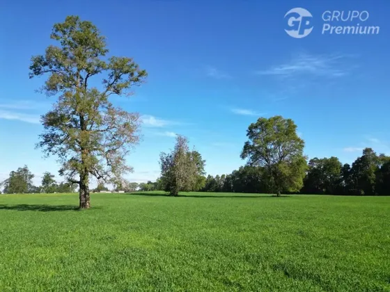 Parcela En Venta En Purranque, Región De Los Lagos