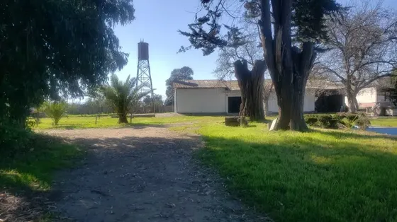 Parcela 6,8 Hectáreas, 4 Casas, Viña, Isla De Maipo