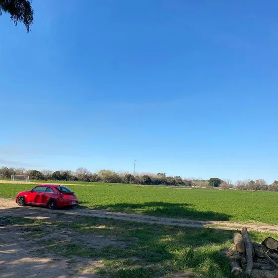 Campo (km49,5 Altura Instituto Fleni)  50ha Asfalto Hasta La Entrada