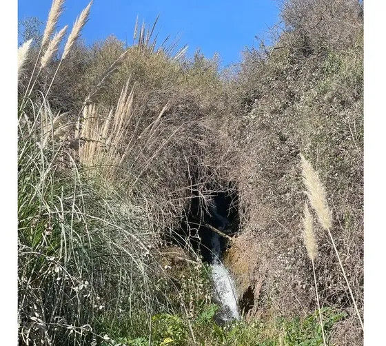 Venta Terreno 5,6 Hectareas Talagante.
