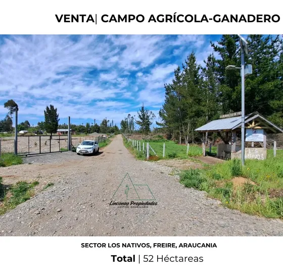 Oportunidad Campo 52 Ha En Freire Con Gran Proyeccion