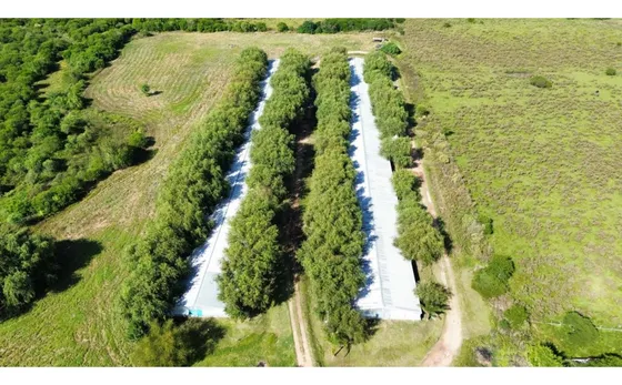 Vendo Granja Avicola En Concepción Del Uruguay, Entre Ríos.