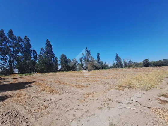 Bodega En Arriendo En Talagante
