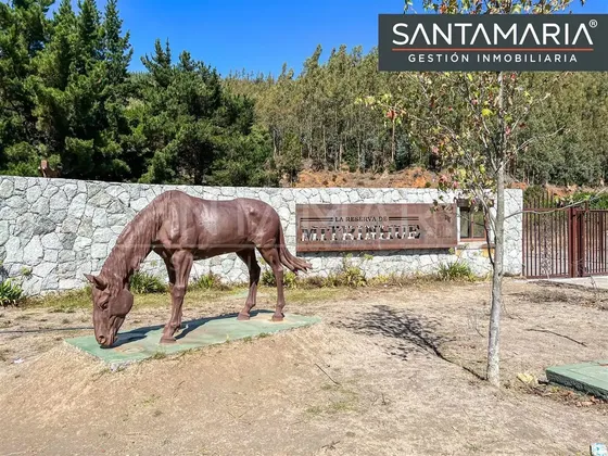 Terreno En Venta Camino A Santa Juana, San Pedro De La Paz