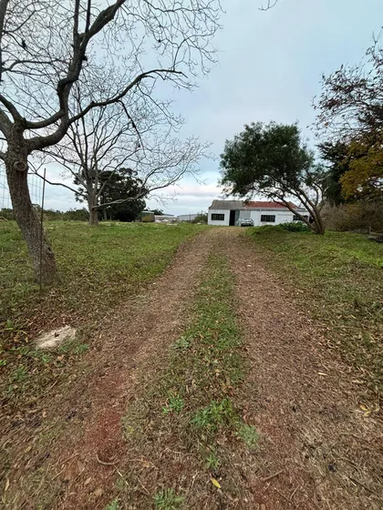 Gran Galpón Venta Maldonado Con Terreno Sólido Y Espacioso A Minutos De Punta Del Este: Ubicación Estratégica Y Máxima Funcionalidad!