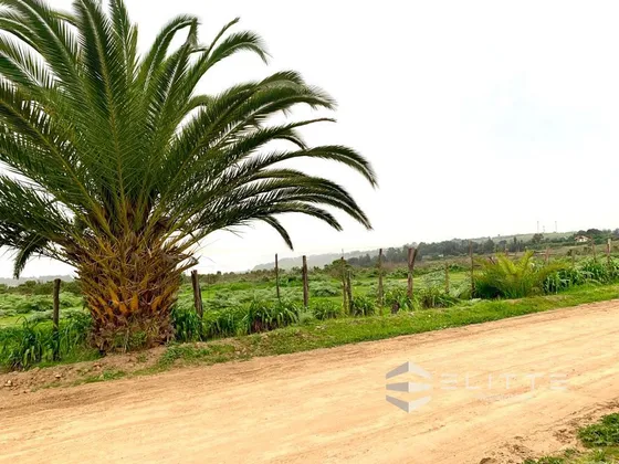 Sitio En Venta En Ex Fundo Las Gaviotas
