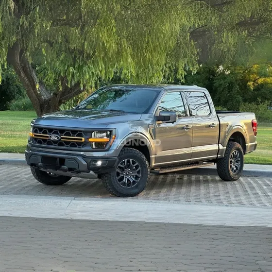Ford F-150 5.0l V8 Tremor 4x4 At