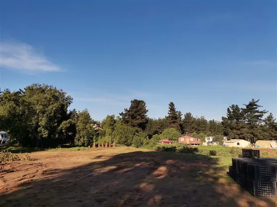 Sitio 5.000 M2 En Venta Caburga - Los Pinos - Viña Del Mar