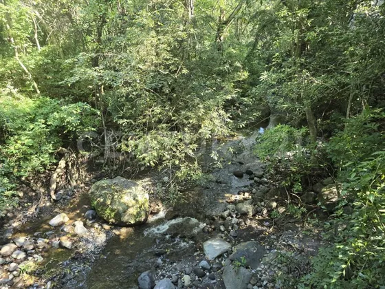 Terreno En El Centro De Comala