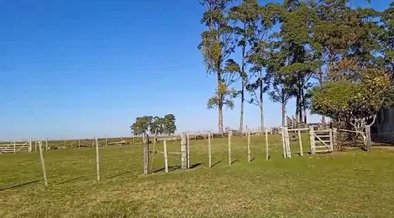Venta Chacra  Con Casa Y Golpon   Campo 210 Hectareas - Achar Tacuarembo