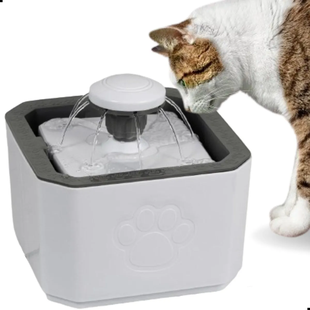 Fonte Bebedouro De Água 2.5l Filtro Cães E Gatos Premium Pet Cor Branco