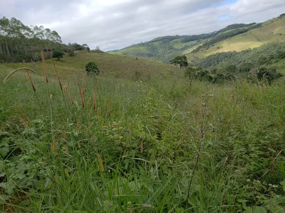 Sitio Em Caldas M G