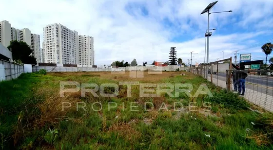 Propiedad Comercial 1575m2 A Pasos Del Casino Enjoy