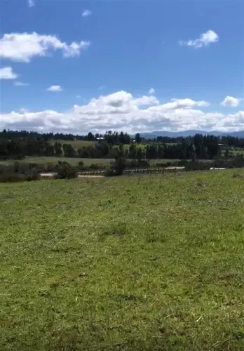 Parcelas En Cauquenes Planas Rol Propio Crédito Directo