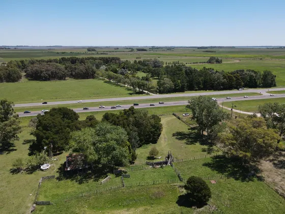 Chacra En Venta, Chascomus - 46 Has Sobre Ruta 2! Ideal Planta De Silos / Feed Lot