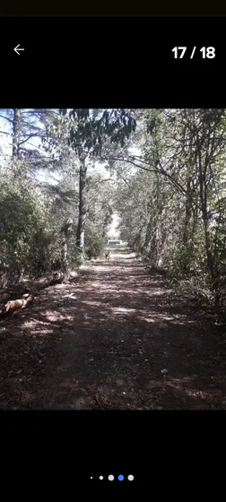 Alquilo Granja - Quinta 5 Has. Pontevedra Merlo Buenos Aires