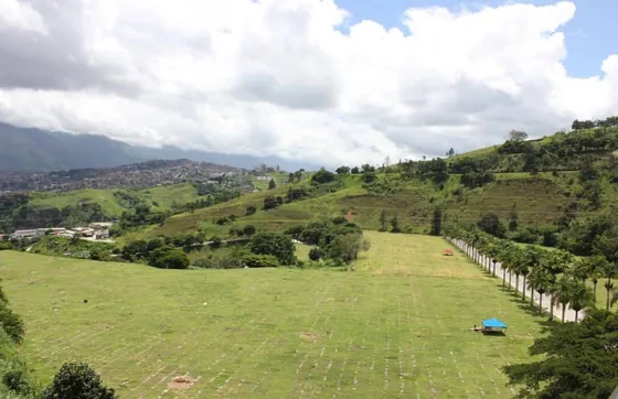 Vendo Parcela Cementerio Del Este