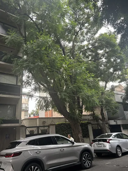 Narvarte Poniente, Se Vende Como Terreno