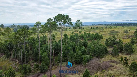 Terreno En  Venta Villa Yacanto