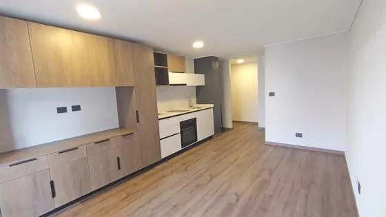 Nuevo A Estresar. Estudio, Con Lámparas Y Cortinas