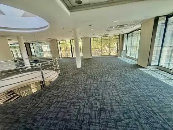 Gran Local De 1000 M2 Terreno,25 Estacionam (84867)