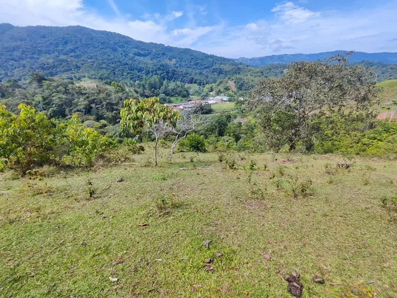 Lote En San Rafael Vereda Jaguas Con Nacimiento De Agua 