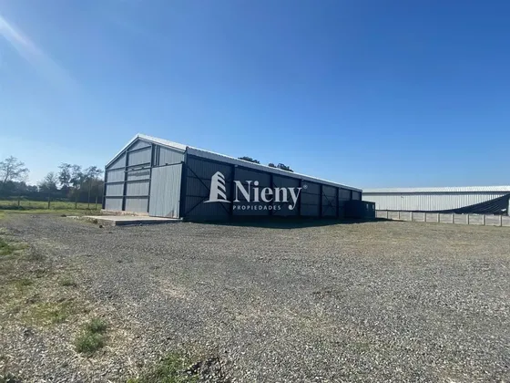 Industrial En Arriendo En Rengo