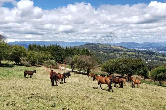 Vendo Espectacular Lote En Cerros De Yerbabuena-9436 (9436).