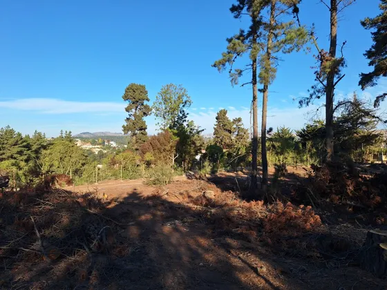 Venta Terreno 5.288 M2 Cercano A Av Gastón Hamel