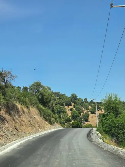 Parcela/ Comalle/ Guindo Alto Km 10,5/ Curico