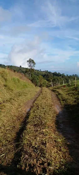 Finca En La Azulita 