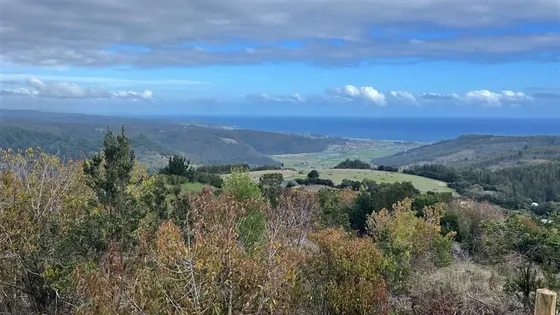 Parcela Vista Al Mar Panorámica Buchupureo Cobquecura