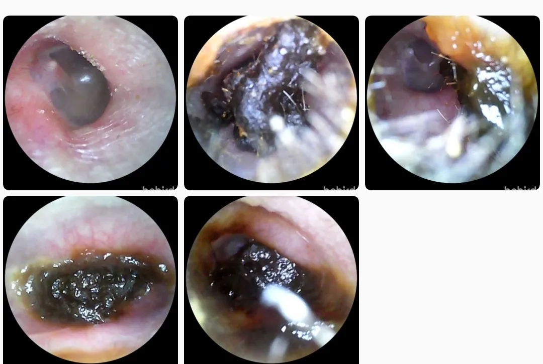 Foto del producto compartida por el comprador 2 de 25