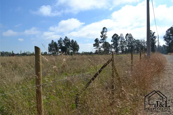 Hermosa Parcela De 5.000m2 Excelente Conectividad - Pelarco
