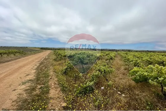 Parcela En Terreno Plano Con Maravilloso Bosque