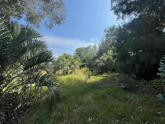 Terreno En El Chorro
