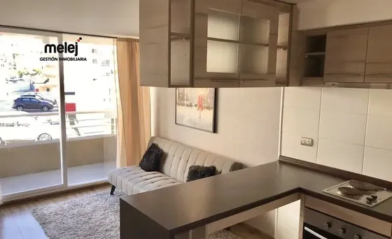Se Vende Departamento 1d, Recreo Alto, Viña Del Mar