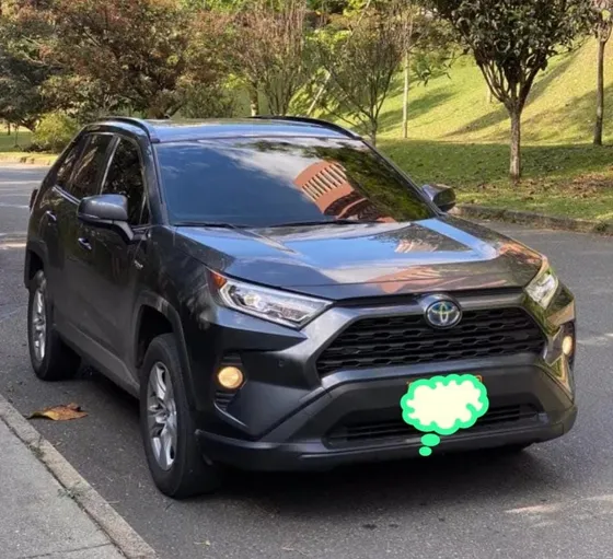 Toyota Rav4 2.5 Xle Hev 4x4 Cvt