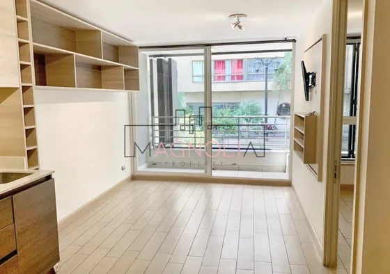 Departamento En Venta De 1 Dorm. En Santiago