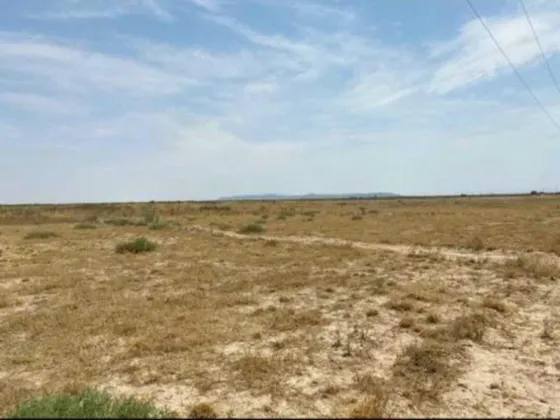 Terreno En Venta En Tlahualilo De Zaragoza Centro, Tlahualilo, Durango