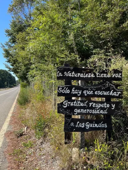 Parcela Con Agua Y Bosque Nativo, Salida Sur De Valdivia