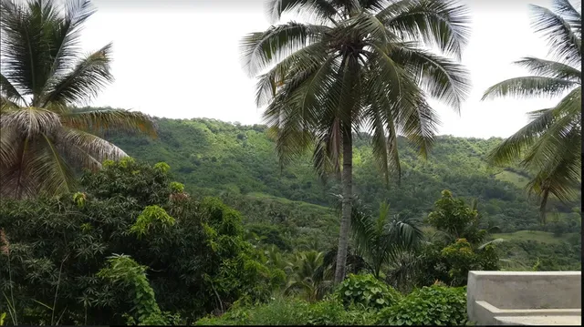 Te Vendo Finca De Oportunidad En Pedro Brand. R.d