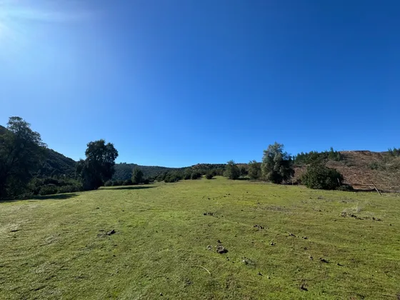 Proyecto Capellanía. En Pencahue A 16 Km. De Talca