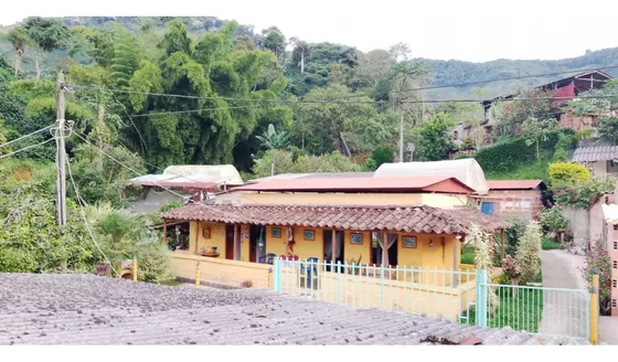 Venta Finca Cafetera En Andes, Sector San Perucho