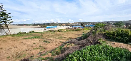 Concón, A Pasos De La Coca Cola, Zona Zeu-pm, Zona Productiv