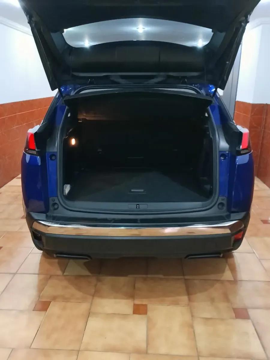 Miniatura 10