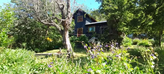 Casa  En Venta En Kaleuche, San Martin De Los Andes, Patagonia